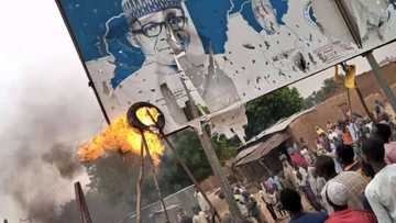 Rashin tsaro: Zanga - zanga ta barke a jihar Katsina, sun kone allon tallar Buhari da Masari