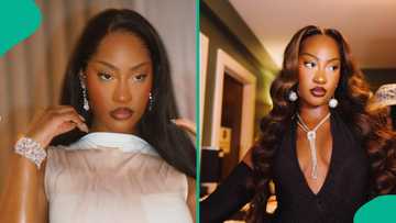 Met Gala 2025: Tems rocks ankara dress, Nigerians react, call for her stylist as photos trend