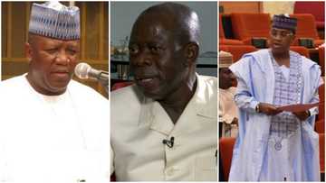 Babu wanda ke tsangwaman Yari - Shugaban APC na bangaren Kabiru Marafa