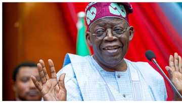 APC Ta Zamfara Ta Ba Tinubu Da Sauran Yan Takara Sharadi Daya Idan Sun Son Kuri'arta a 2023