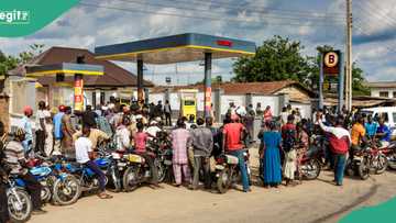 “₦550 per litre”, Marketers move to import cheaper fuel as Dangote Refinery halts sale