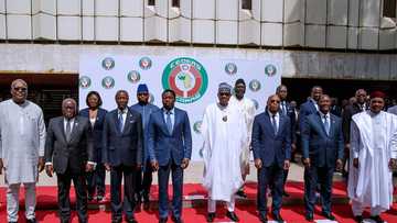 Just in: We'll start using single currency from 2020 - ECOWAS
