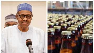 Dalilin da ya sa Gwamnatin Buhari ta ke neman takaita shan giyar leda da ta roba