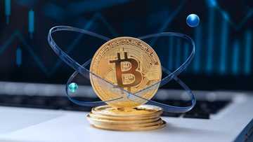 How to make Profit with Crypto: Forex Leads the Way