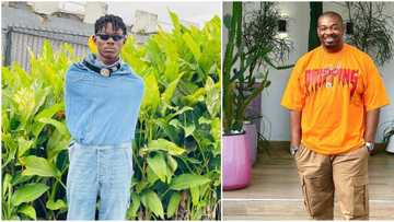 "I made N500k within 4 hours Don Jazzy shared my content": Financial advisor expresses gratitude to producer