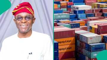 "Why we must leverage simplified export": NPA boss woos investors