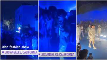 Grammy bromance: Wizkid and Burna Boy spotted playing and laughing together at Dior Fashion Show in LA