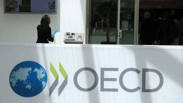 OECD calls for higher property taxes to fight debt