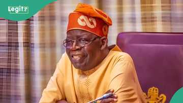 2027 presidency: Northern leaders dump Tinubu, eye alternatives as replacement, names disclosed