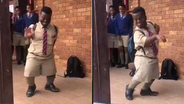 Short and sweet: Video of little person dancing for fellow students goes viral