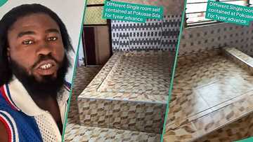 "Looks like burial ground": Uproar as video shows self-contained apartment with tiled bedframe