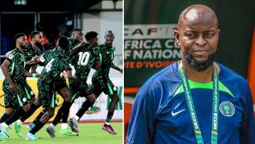 Mutiu Adepoju: Former Super Eagles midfielder urges NFF against sacking Finidi George