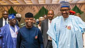 Shugaban kasa Buhari ya yi bayanin alakarsa da Mataimakinsa Osinbajo