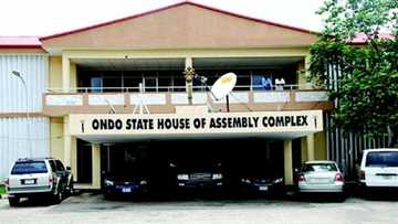 JUST IN: Ondo lawmakers prevails over state Assembly as court halts suspension