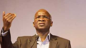 Nigeria will begin to screen foreigners for work permit - Fashola