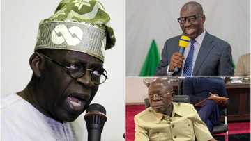 Kwanaki 3 bayan zabe, har yanzu babu kalma ko guda daga bakin Oshiomole da Tinubu