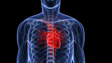 Nesa ta zo kusa: An fara tiyatar cututtukan Zuciya a jihar Sakkwato