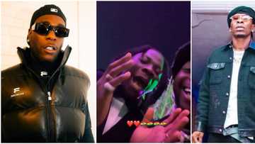 Shortly after Burna Boy challenged Shatta Wale to physical fight, Stonebwoy apologises to Nigerians
