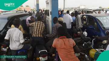 Petrol scarcity looms across Nigeria, marketers give reasons