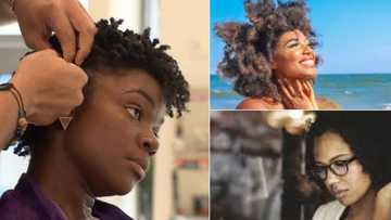 US makes special law for Afro hairstyle, goes against any form of discrimination
