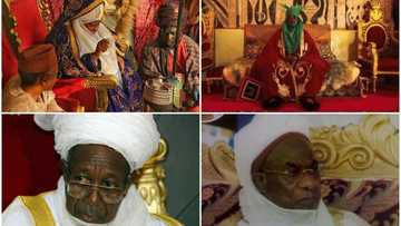 Hotuna da tarihi: Manyan Sarakuna 8 da arewa ta rasa a cikin shekaru 20