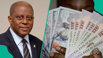 Analysts raise concern as dollar inflow into Nigeria declines