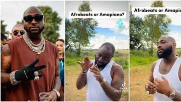 "Afrobeat or Amapiano?" Davido picks his favourite genre, fans drag him, video trends