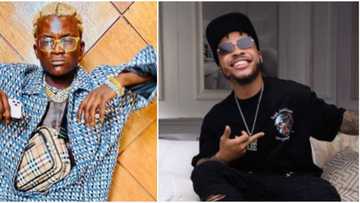 We sing Zazu together but na only you dey pack girls: Portable calls out Poco Lee on stage in hilarious clip