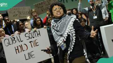COP29: Nigeria slams climate deal as developing nations reject $300bil climate donation
