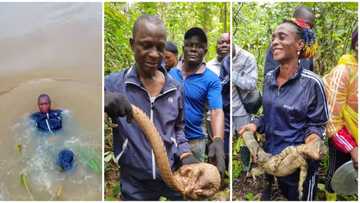 Ex-president Jonathan's cousin decries oil spillage in Niger Delta, embarks on dangerous mission