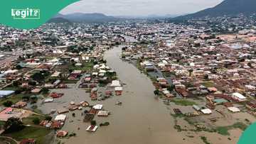 Yobe governor takes action as severe flooding destroys homes, displaces hundreds