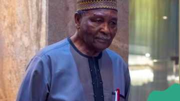 Civil war: Ohanaeze demands Gowon's apology over remark