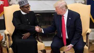 Just in: Buhari takes action as US issues visa ban on Nigeria