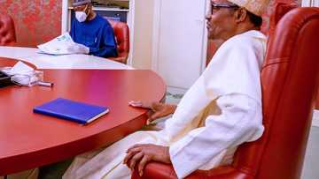Gwamna Zulum ya yi ganawar sirri da shugaba Buhari a fadar shugaban kasa