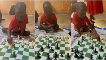 "He is a genius": Little boy, 4, plays chess perfectly, video of his amazing skills goes viral on Twitter