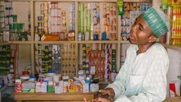 Rashin ci gaba: Jahilai sun kwace kasuwar magunguna daga hannun masu ilimi a Kano - PCN