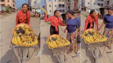 "Na better pikin": Slay queen goes viral after helping mum push wheelbarrow on the road, video melts hearts