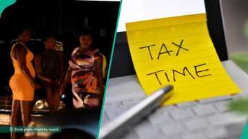 FG says commercial sex workers will pay tax in Nigeria from Jan 2026, video trends