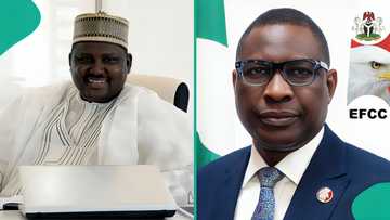 EFCC declares Abdulrasheed Maina wanted again, reason emerges