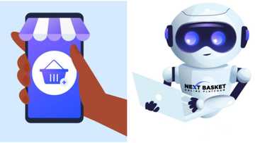 NEXT BASKET officially launches an innovative 2-in-1 e-commerce model