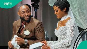 WhatsApp group chat targeting Davido and Chioma's marriage leaks, ignites reactions