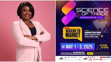 Unmissable funding opportunities and dynamic activities at SOT 2025