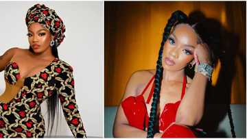 BBNaija Angel drags American singer who allegedly punched her cousin, as people testify against the artist