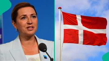 Denmark lists 11 debts foreigners must clear before seeking citizenship, gives exceptions