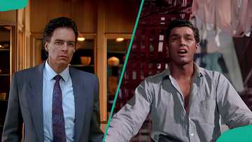 Actor Richard Beymer's biography: wife, gay rumours, where is he now?