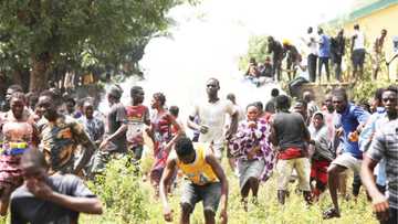 Ku dauka mataki a kan masu sata, kada ku saurara musu - Buratai ga Kwamandojinsa