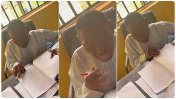 University lecturer rubbishes final year student's project, cancels It roughly and angrily in video