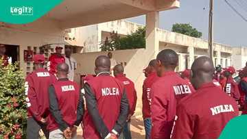 NDLEA finally nets wanted drug kingpin after 13 years, photo surfaces