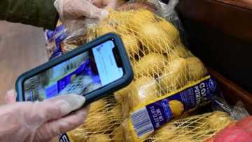 Company turns its CEO, engineers to delivery boys, angers them