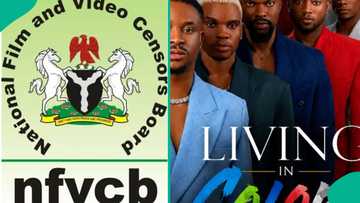 FG bans premiere of new movie ‘Living in Colors,' explains reason